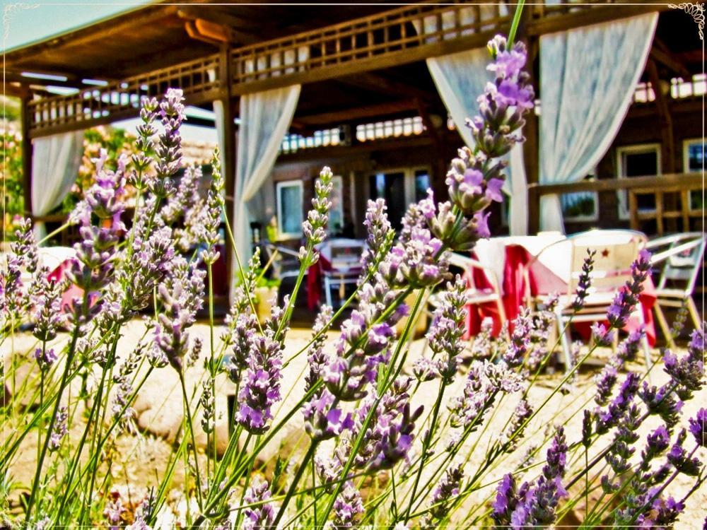 Hotel Miramare 보사마리나 외부 사진